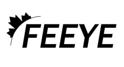FEEYE