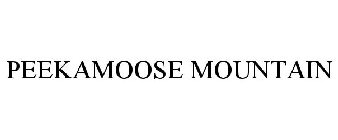 PEEKAMOOSE MOUNTAIN