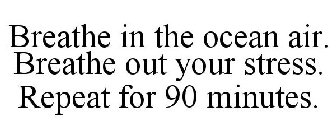 BREATHE IN THE OCEAN AIR. BREATHE OUT YOUR STRESS. REPEAT FOR 90 MINUTES.