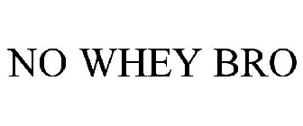 NO WHEY BRO