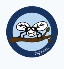 FLYBRANCH