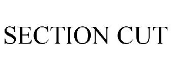 SECTION CUT