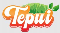 TEPUI