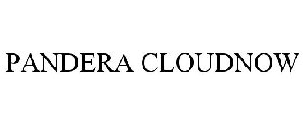 PANDERA CLOUDNOW