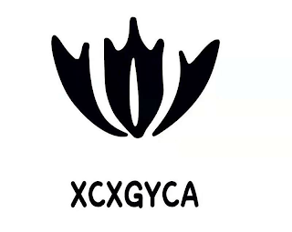 XCXGYCA