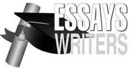 ESSAYS WRITERS