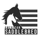 AMERICAN SADDLEBRED