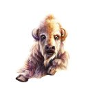 Image Trademark