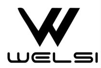 WELSI