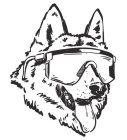 Image Trademark