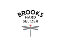 BROOKS HARD SELTZER