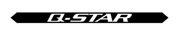 Q-STAR
