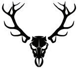 Image Trademark