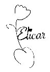 ELICAR