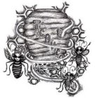 TCBU.CO