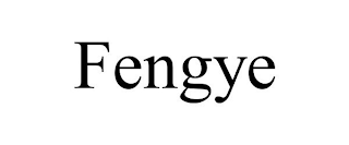 FENGYE