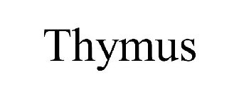 THYMUS