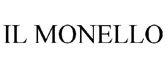 IL MONELLO