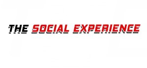 THE SOCIAL EXPERIENCE
