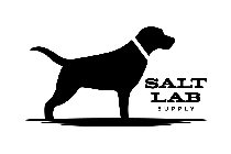 SALT LAB SUPPLY