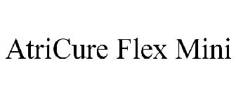 ATRICURE FLEX MINI