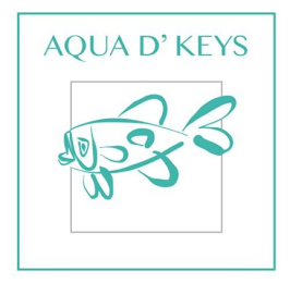 AQUA D' KEYS