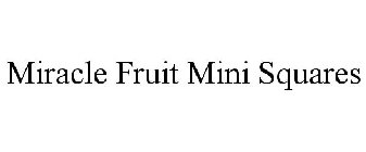 MIRACLE FRUIT MINI SQUARES
