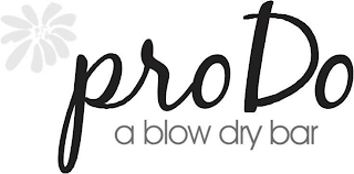 PRO DO A BLOW DRY BAR