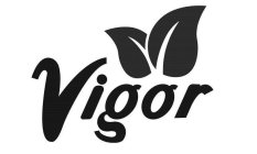 VIGOR