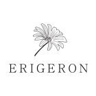 ERIGERON