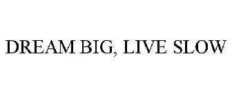 DREAM BIG, LIVE SLOW