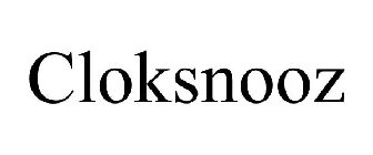 CLOKSNOOZ