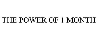 THE POWER OF 1 MONTH