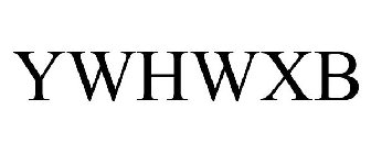 YWHWXB