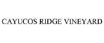CAYUCOS RIDGE VINEYARD