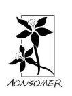 AONSOMER