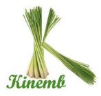 KINEMB
