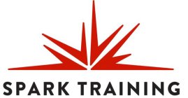 SPARK TRAINING