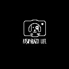 PAWPARAZZI LIFE