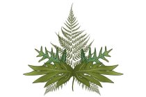AINA ORGANICS
