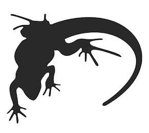Image Trademark