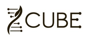 CUBE