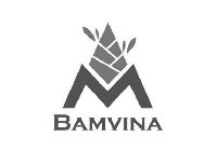 BAMVINA