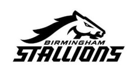 BIRMINGHAM STALLIONS