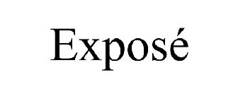 EXPOSÉ