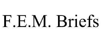 F.E.M. BRIEFS