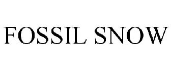 FOSSIL SNOW