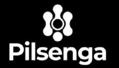 PILSENGA