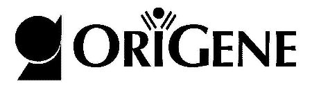 ORIGENE