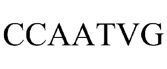 CCAATVG